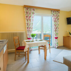 pension-firn-sepp-mauterndorf-ferienwohnung-gartenblick-11