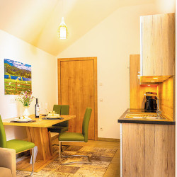 Ferienwohnung Grosseckblick – Pension Firn Sepp, Ferienwohnungen in Mauterndorf