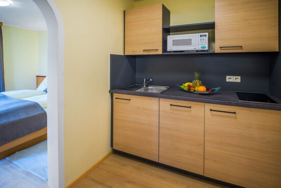 Pension Firn Sepp - Suiten - Mauterndorf - Salzburger Land - Suite Burgblick