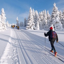 Winterurlaub – Mauterndorf – Langlaufen