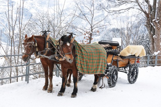 Winterurlaub - Mauterndorf - Pferdeschlittenfahrten