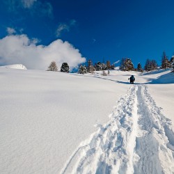 skitouren-pauschale